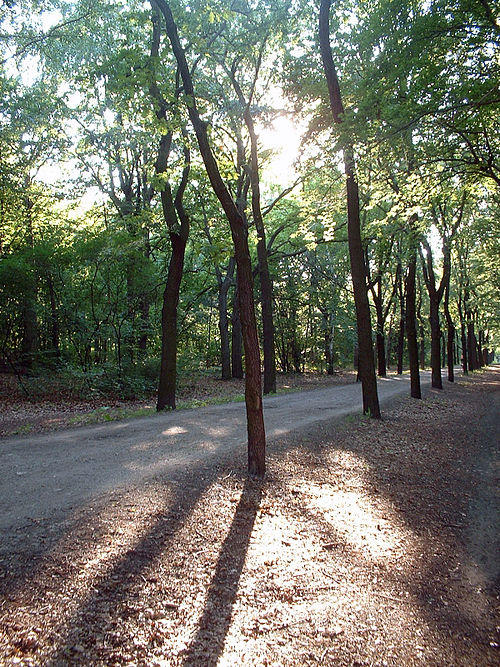 Volkspark Wuhlheide